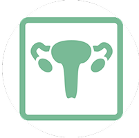 obgyn 1